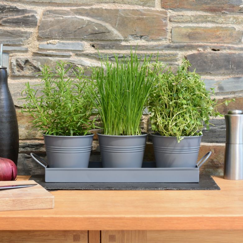 Set of 3 Charcoal Grey Metal Herb Plant Pots with Drip Tray 