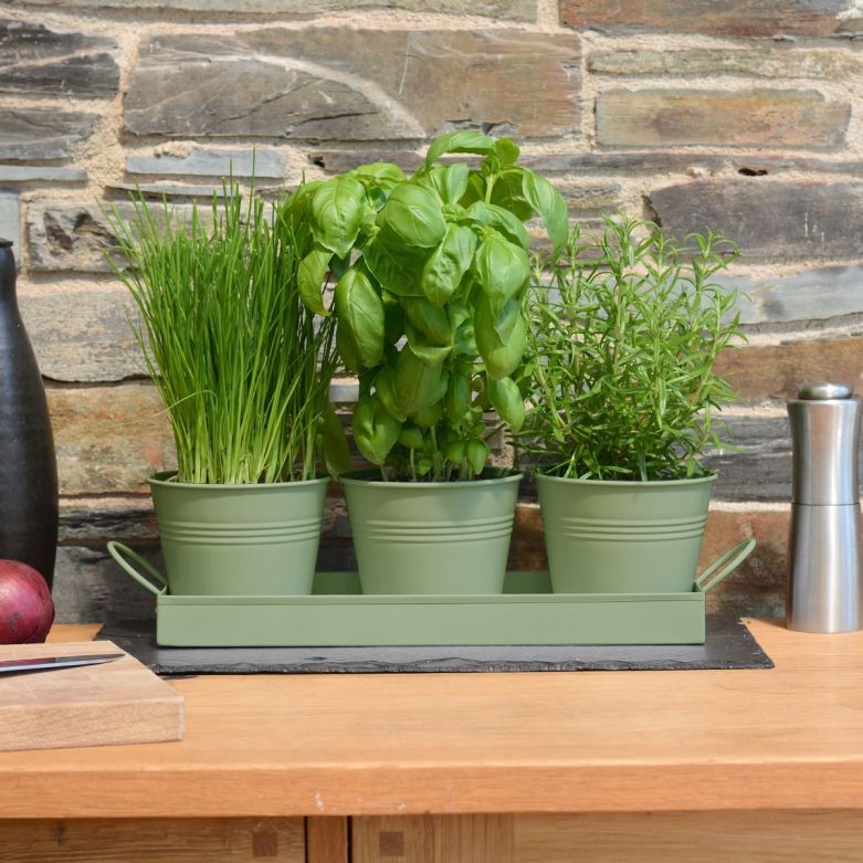 Set of 3 Metal Plant Pots with Drip Tray in Sage Green