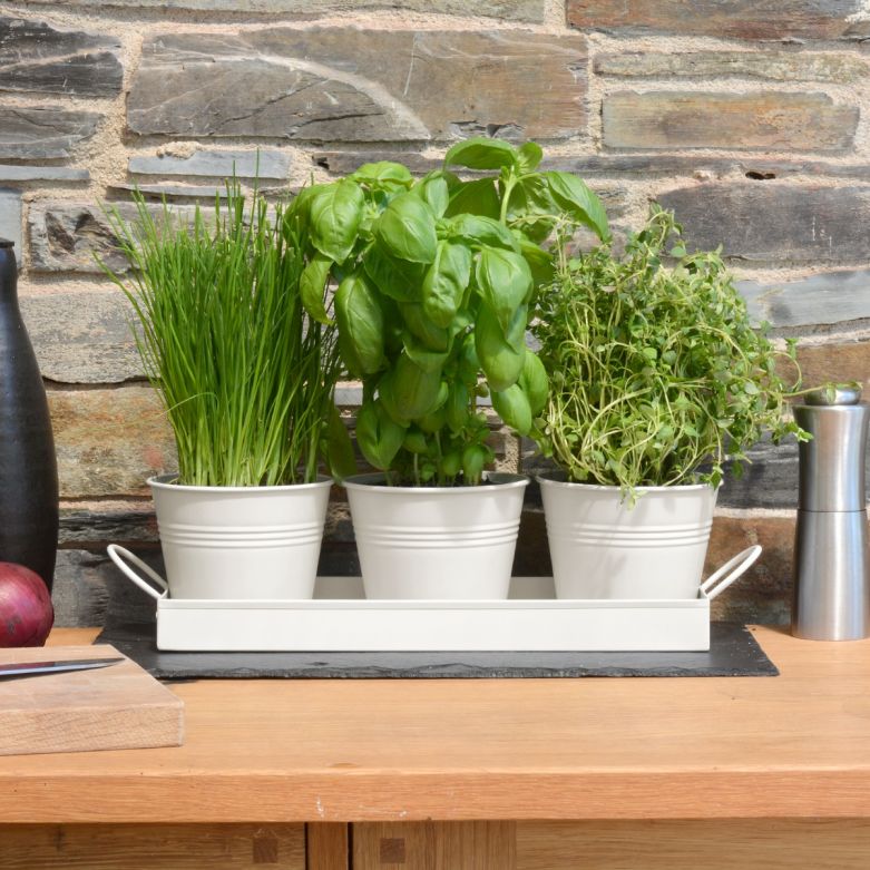 Set of 3 Metal Herb/Plant Pots with Drip Tray (White Chalk)