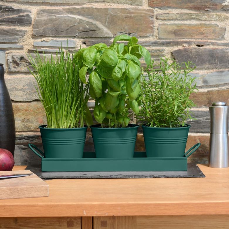 Set of 3 - Indoor Metal Plant Pots and Stand Tray - DARK GREEN 