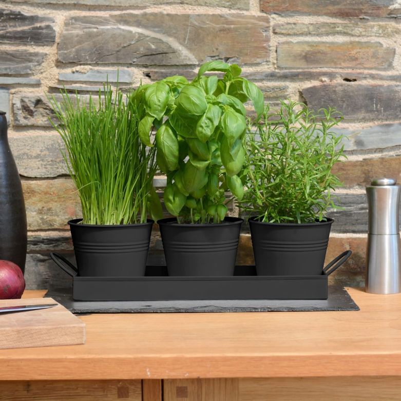 Set of 3 Matt Black Indoor Metal Plant Pots and Stand Tray