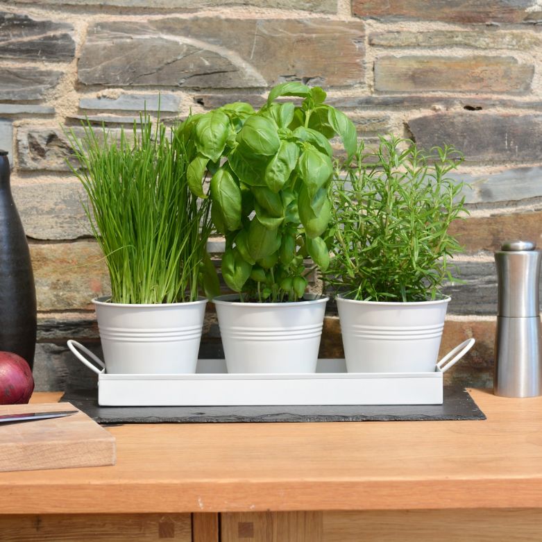 Set of 3 White Metal Herb Plant Pots with Drip Tray 