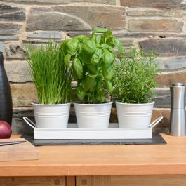 Set of 3 White Metal Herb Plant Pots with Drip Tray 